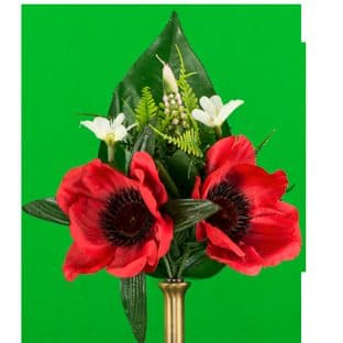 Red Poppy