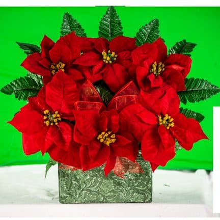Red Poinsettias with Red Bow - View 1