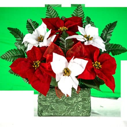 Red and White Poinsettias with Red Bow - View 1