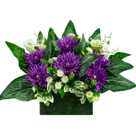 Purple Chrysanthemums - View 1