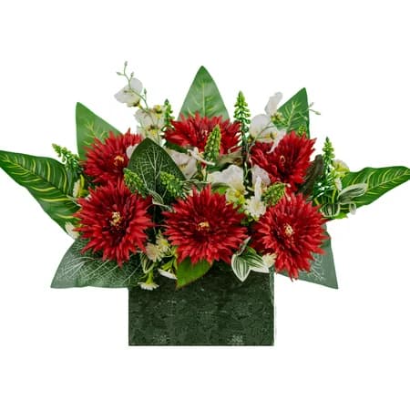 Red Chrysanthemums - View 1