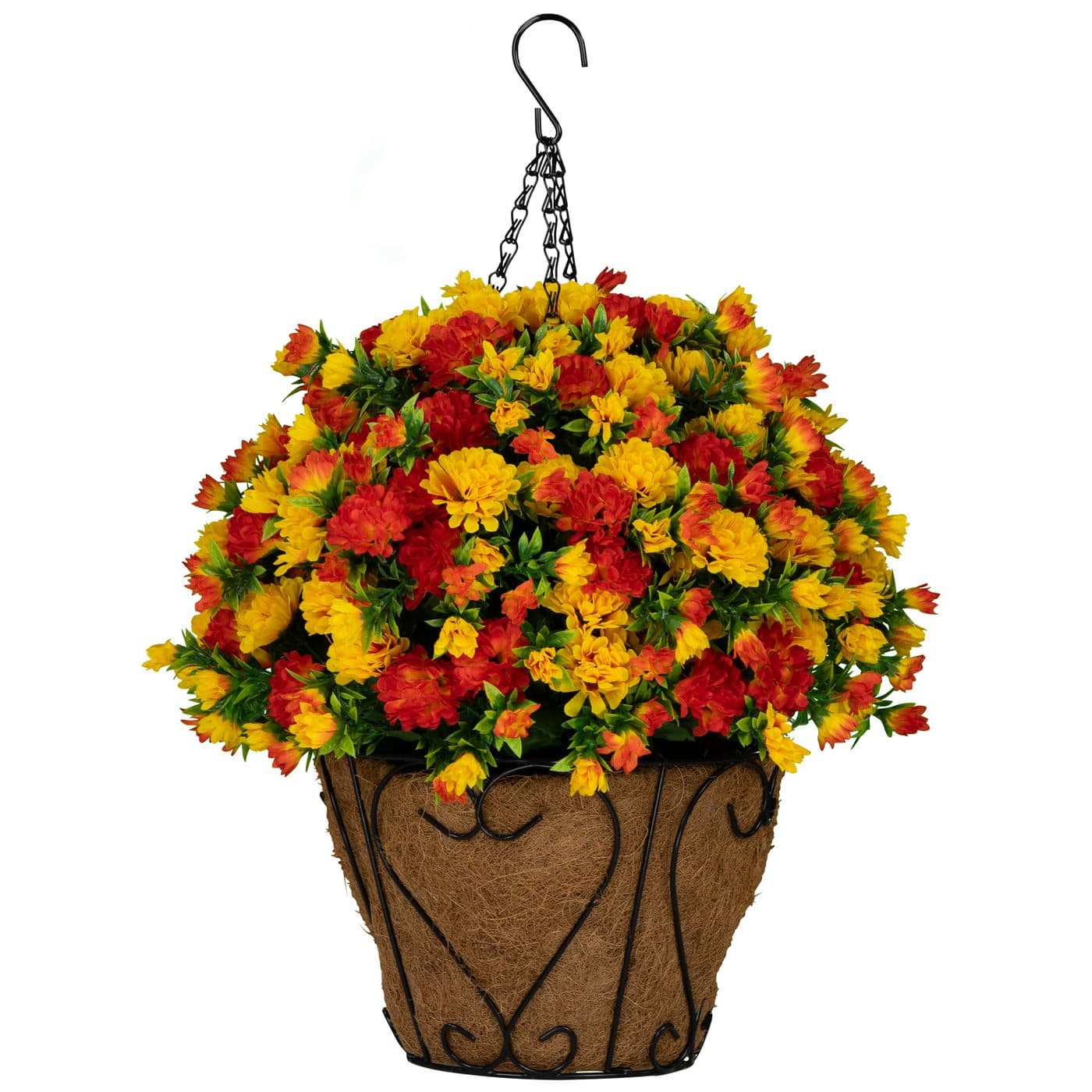 Sunset Orange Mums - View 1