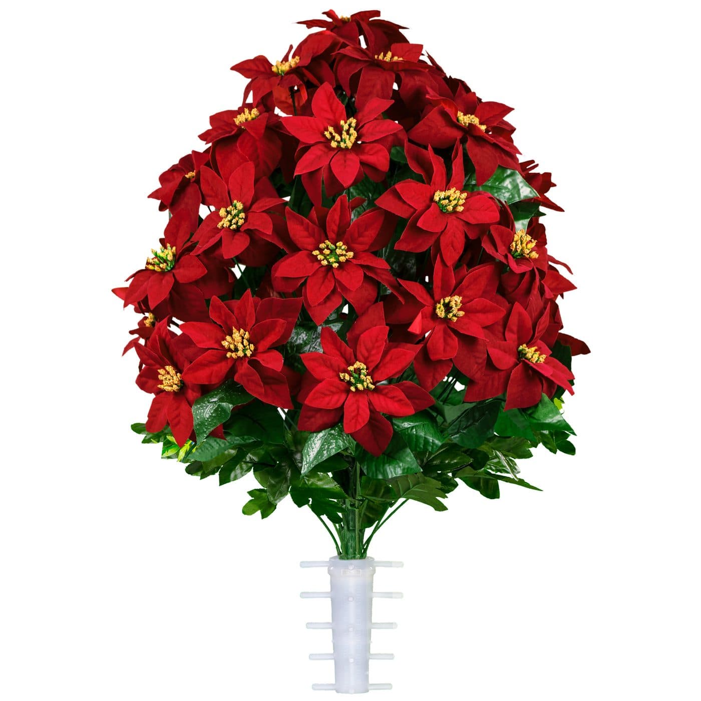 Red Poinsettia