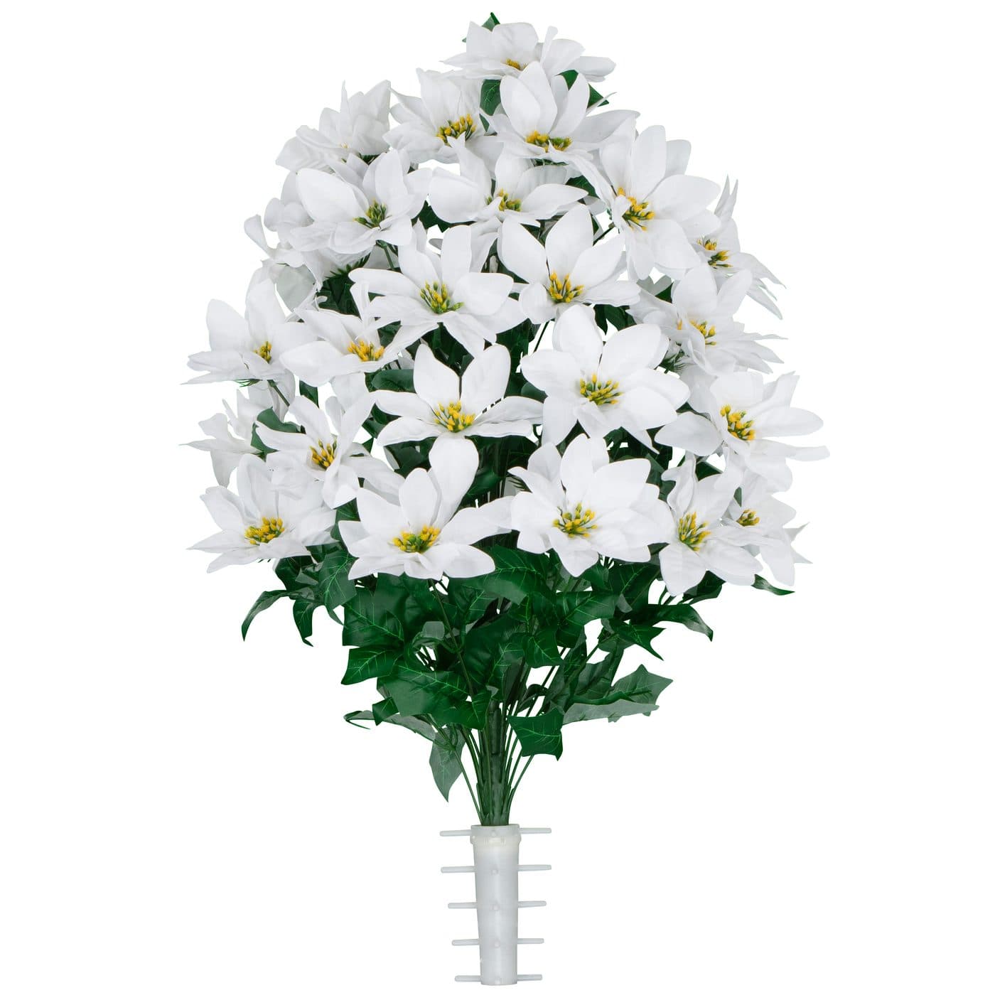 White Poinsettia