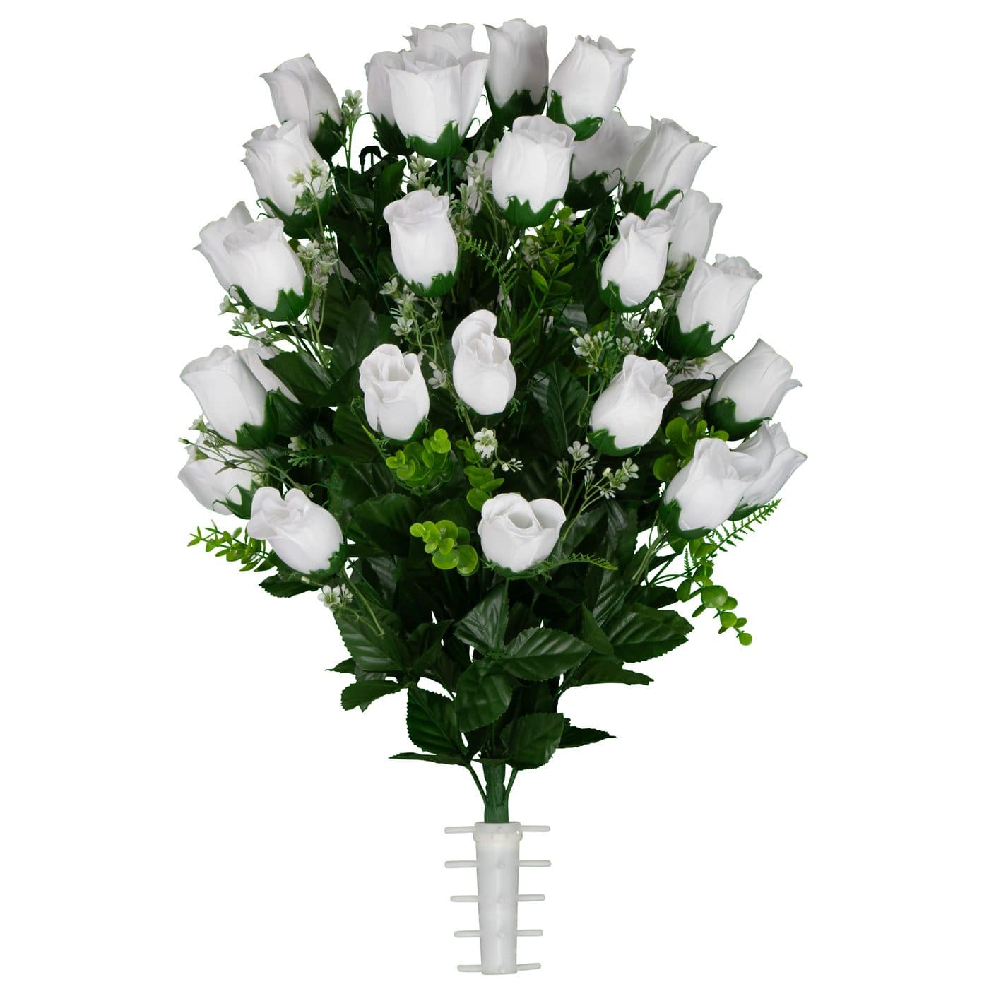 White Rose Buds