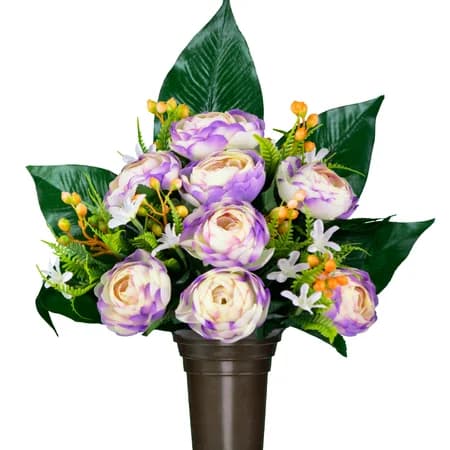 Cream and Purple Ranunculus