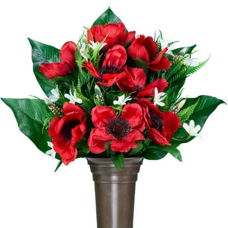 Red Poppy
