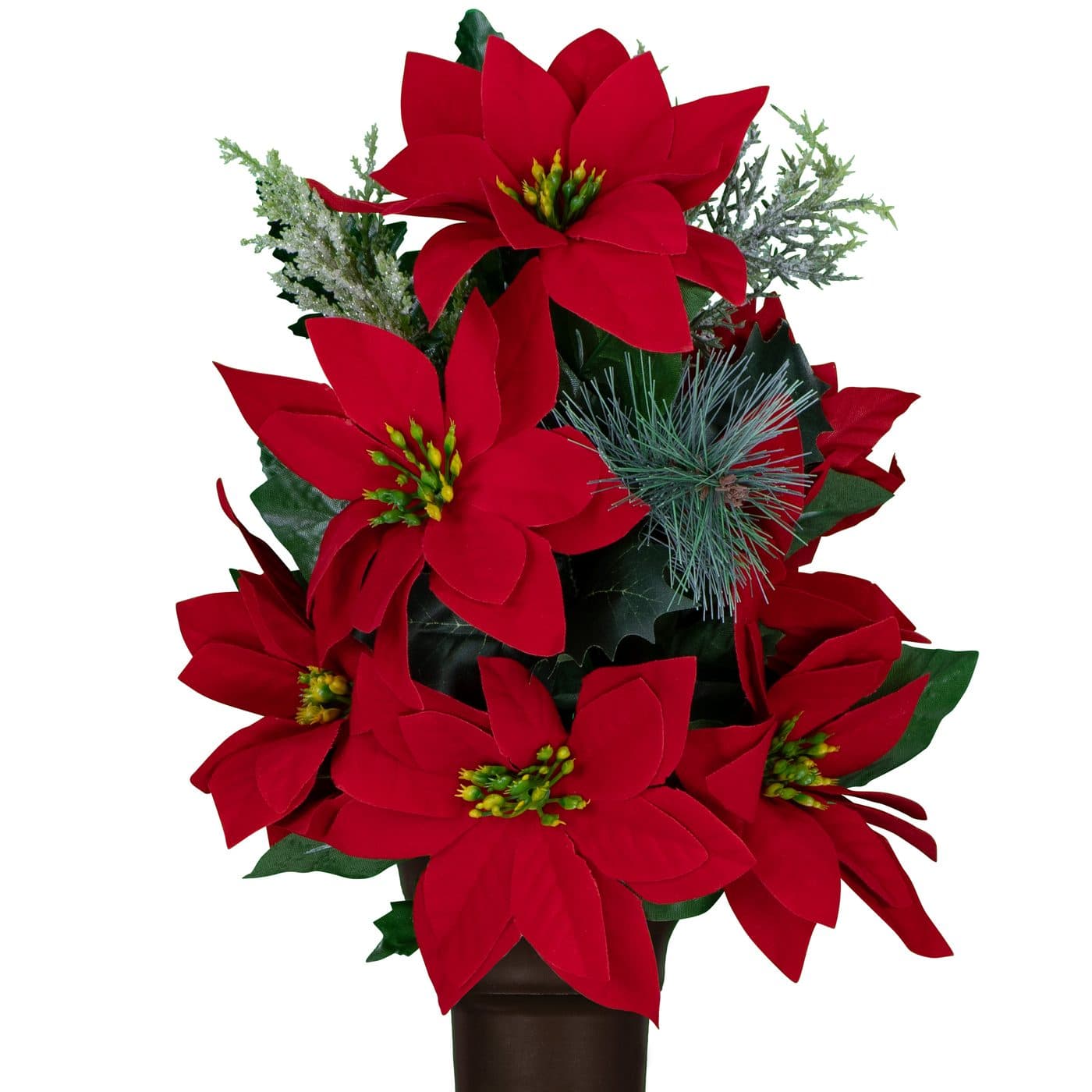 Red Poinsettia with Pine