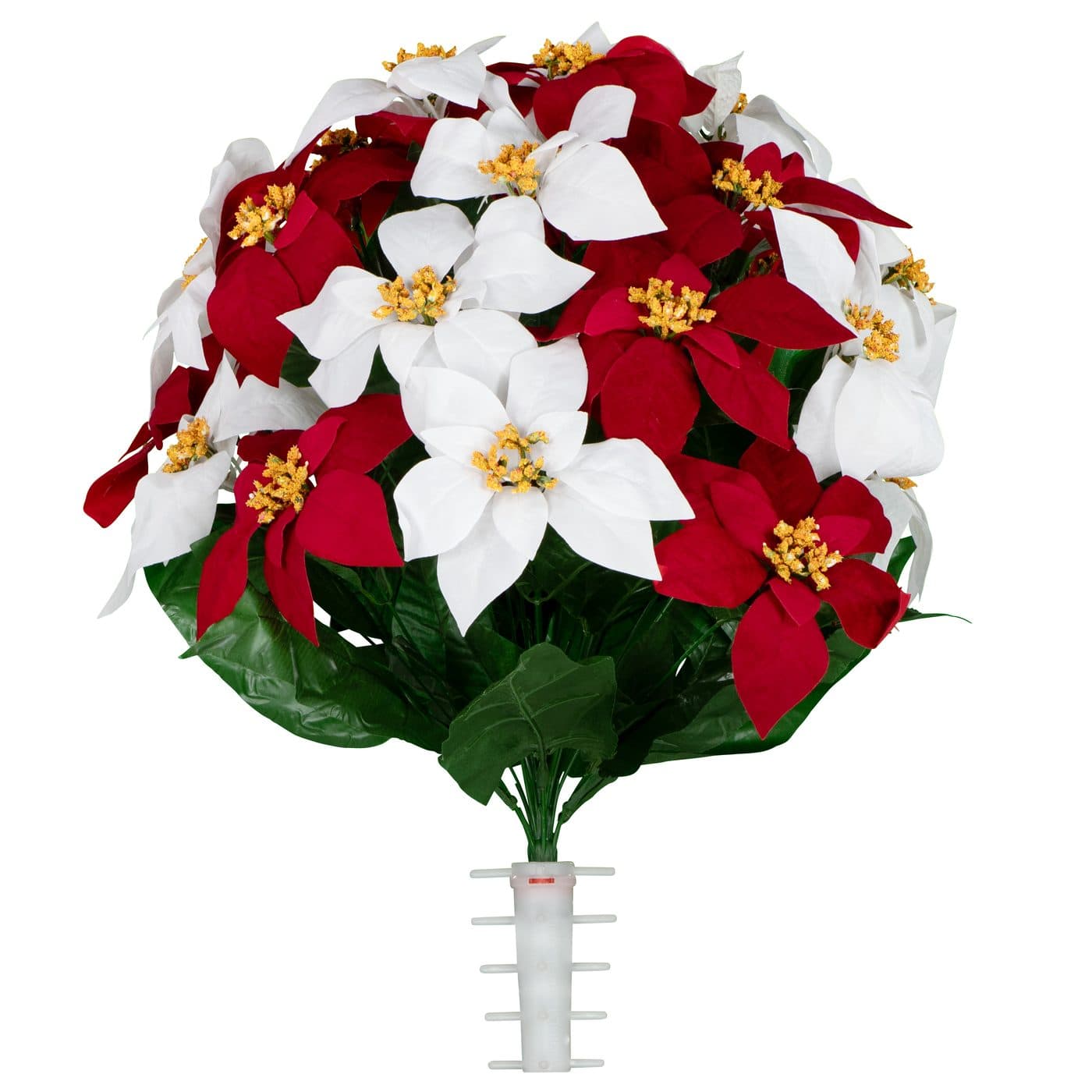 Red and White Poinsettia - View 1