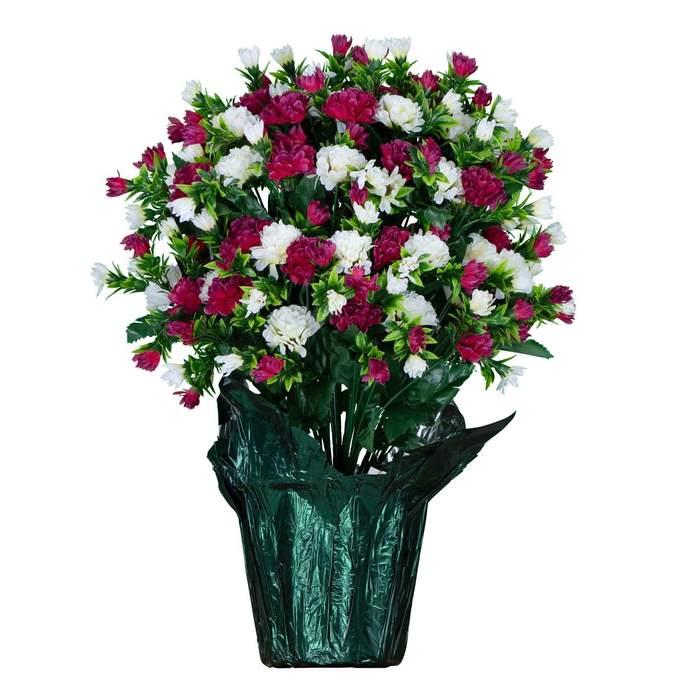 Deep Magenta and Cream Mum
