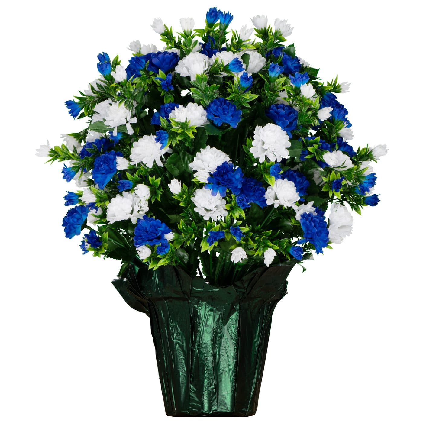 Blue and White Mum - View 1