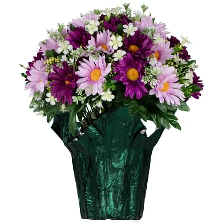 Pink and Purple Daisies - View 1