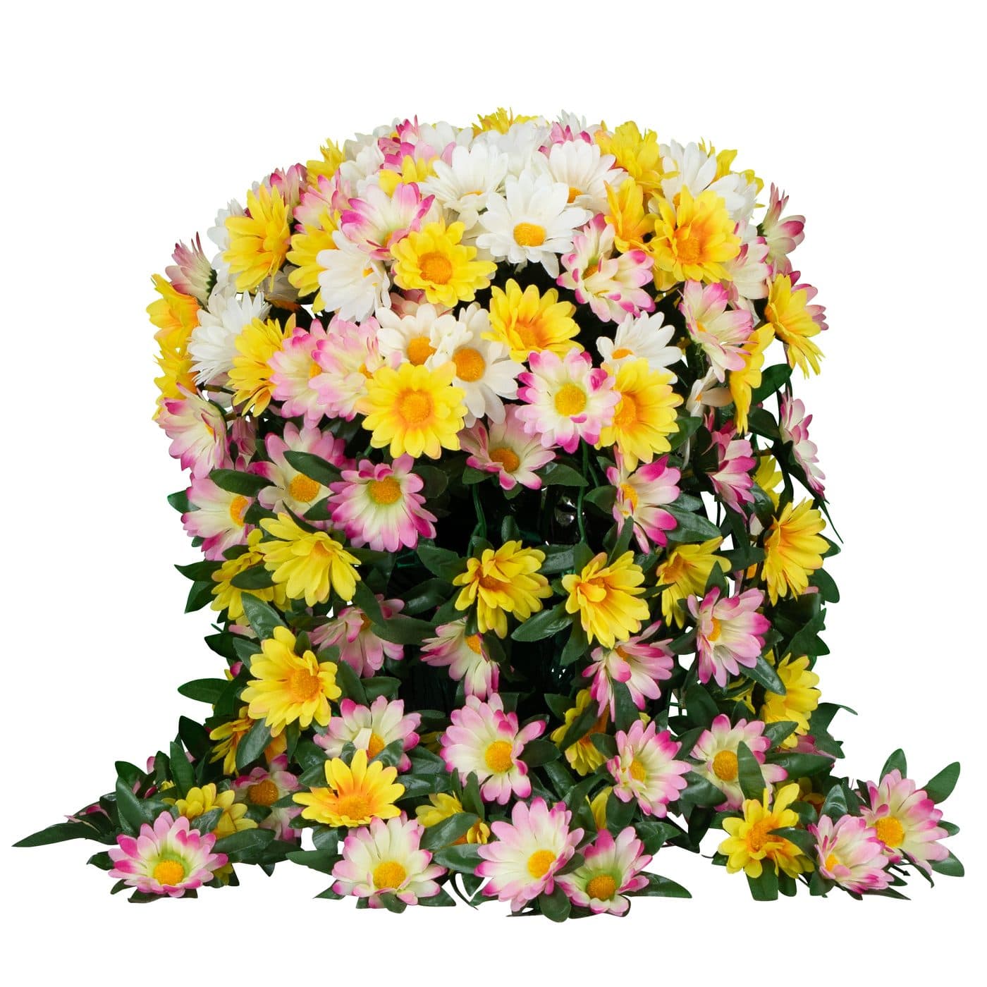 Trailing Yellow White and Pink Daisies Pot - View 1
