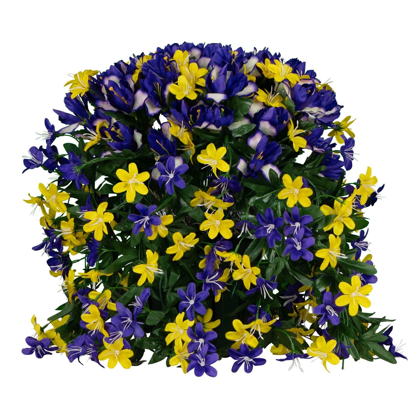 Trailing Purple iris and Stargrass Wildflowers Pot